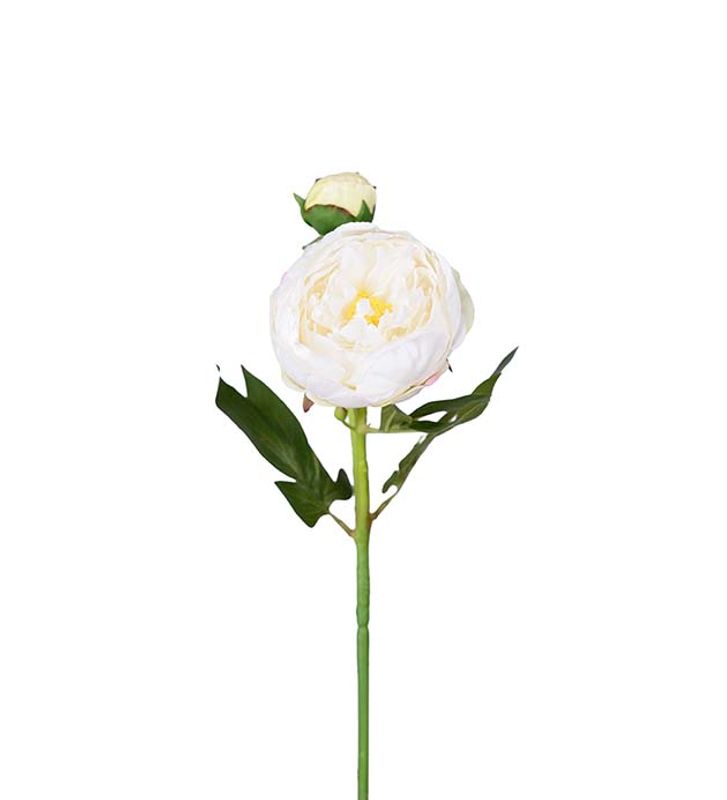 Pion 2knop Hvit 65cm