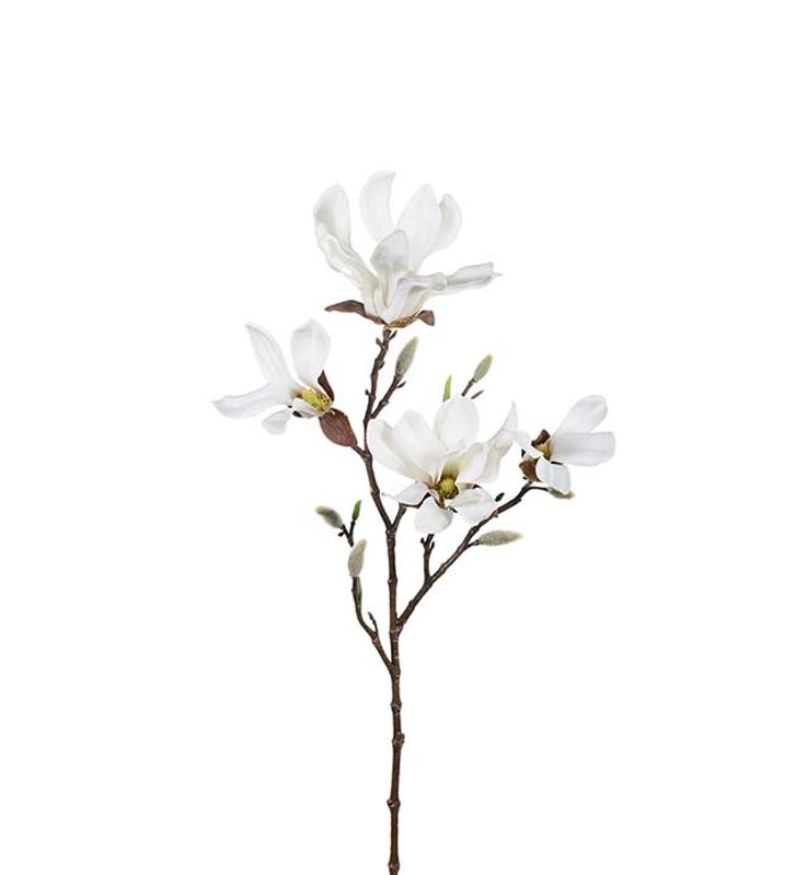 Magnolia Hvit 50cm