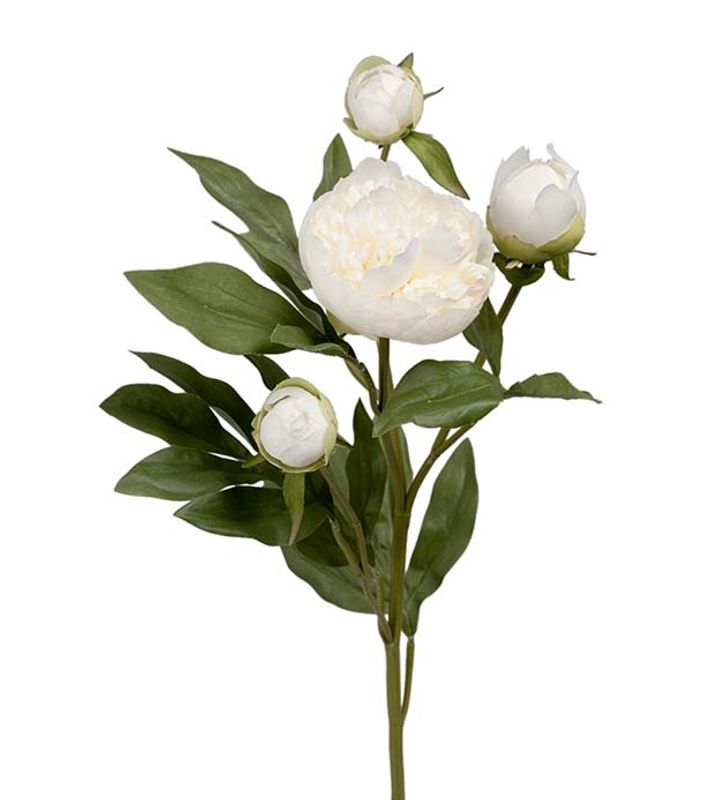 Pion 4knop Hvit 65cm