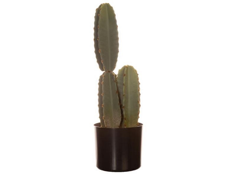 Kaktus i potte 49cm