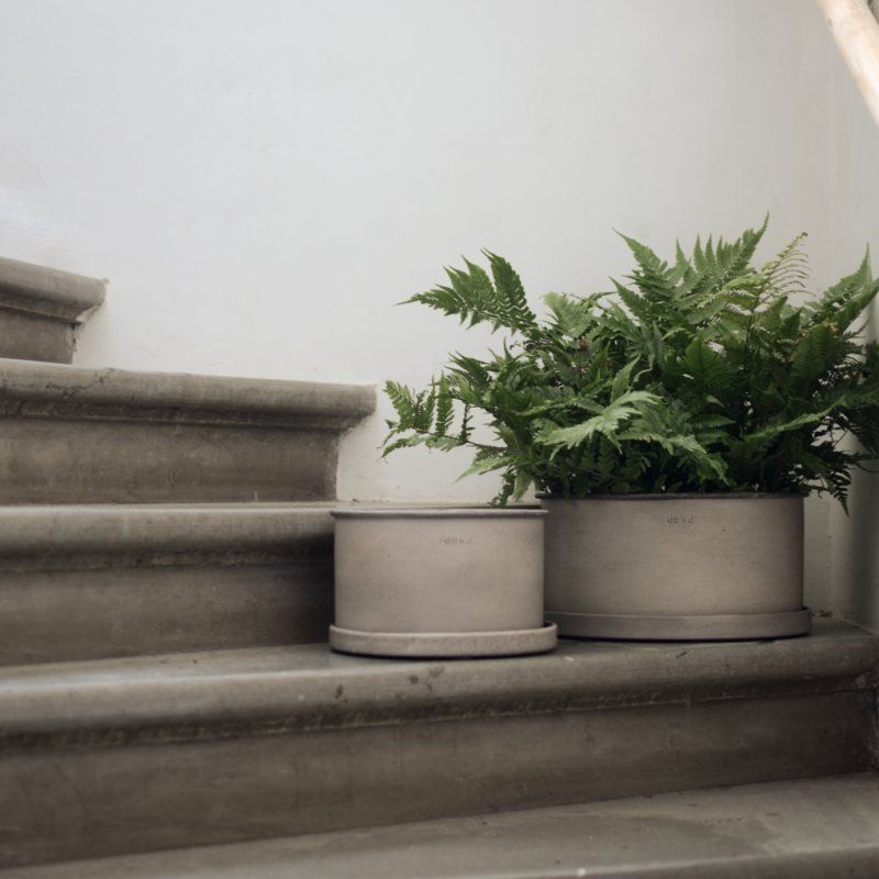 Plantbowl Beige Medium