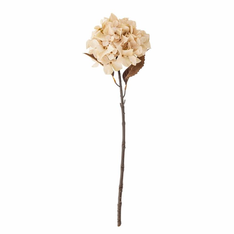 Hortensia-stilk, natur